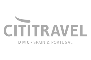 cititravel-dmc-logo-color